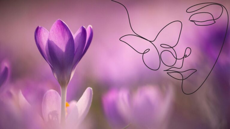 Frühling empfindliche Haut: Nahaufnahme lila Krokus, stilisiertes Gesicht einer Frau