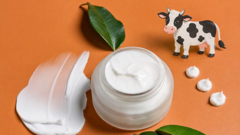 Beef Tallow Haut – Flatlay eines Cremetiegels auf einem orangefarbenen Untergrund, zwei grüne Blätter, rechts oeben eine glücklich schauende stilisierte Kuh