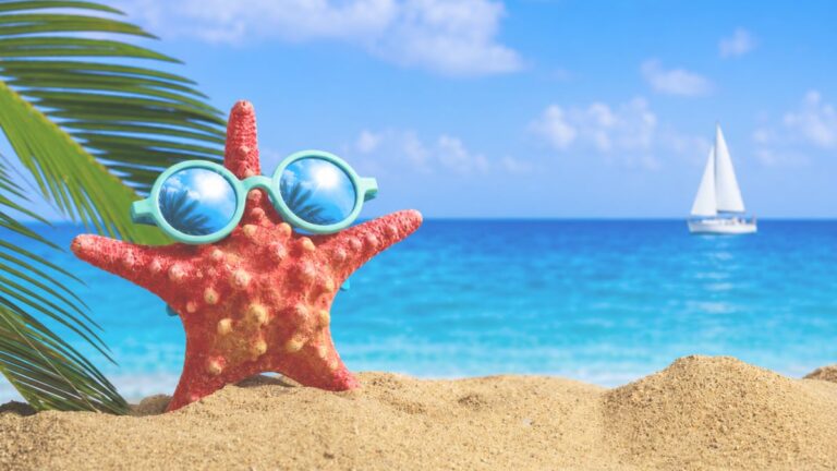 empfindliche Haut Sommer Trigger – knallroter Seestern mit Sonnenbrille und Palmenblatt am Sandstarnd , im Hintergrund ein Segelboot auf der blauen See
